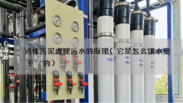 活性污泥處理污水的原理(它是怎么讓水變干凈的)